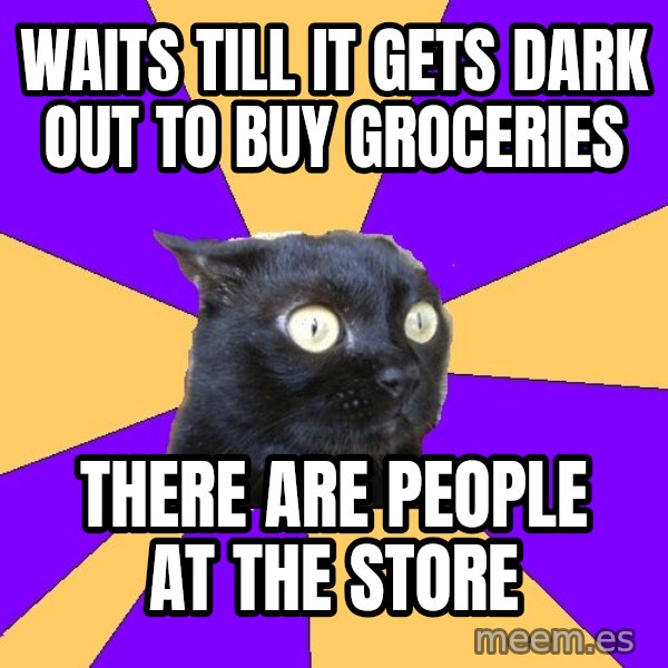 Anxiety Cat meme: waits till it gets dark out to buy groceries / there are people at the store