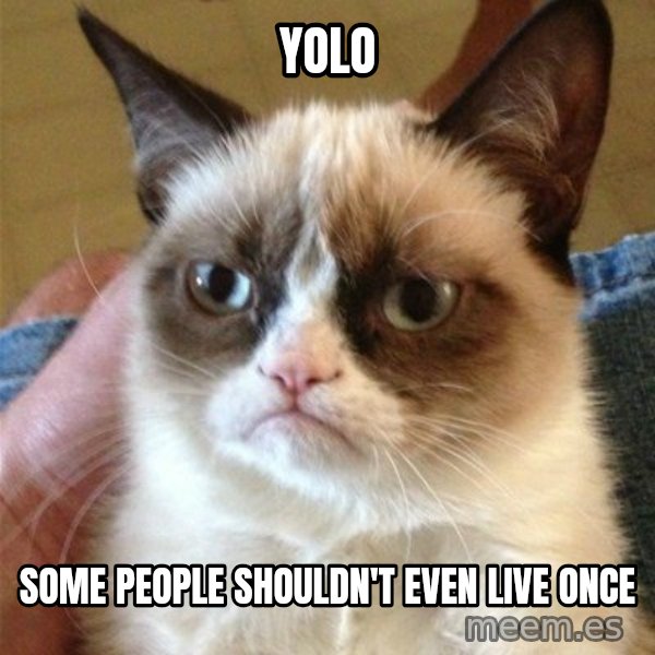 Grumpy Cat  meme: YOLO / Some people shouldn't even live once