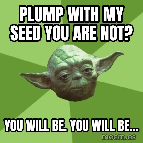 Advice Yoda Gives meme: plump with my seed you are not? / You will be. YOU will be...