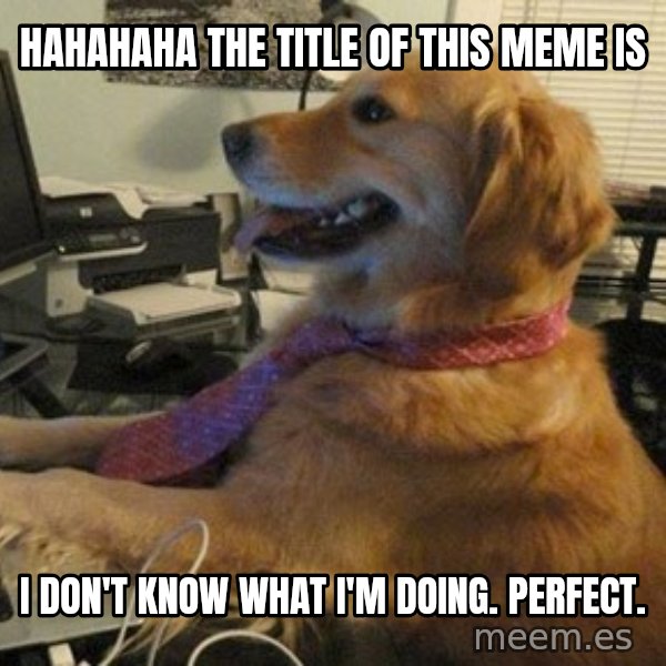I have no idea what I'm doing - Dog with Tie meme: HAHAHAHA THE TITLE OF THIS MEME IS / I DON'T KNOW WHAT I'M DOING. PERFECT.