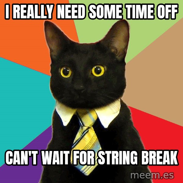 Business Cat meme: i really need some time off / can't wait for string break