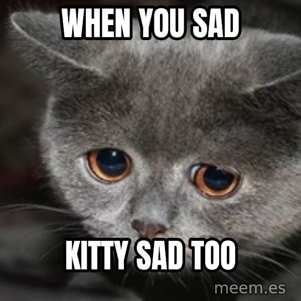 Sadcat meme: When you sad / kitty sad too