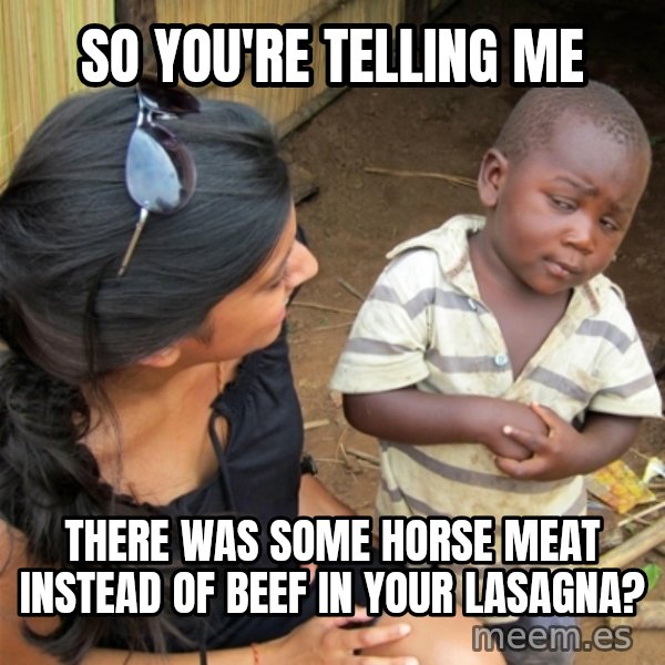 So You're Telling me meme: SO YOU'RE TELLING ME / there was some horse meat instead of beef in your lasagna?