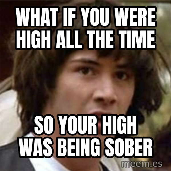 what if meme meme: what if you were high all the time / so your high was being sober