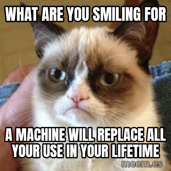 Grumpy Cat  meme: WHAT ARE YOU SMILING FOR / A MACHINE WILL REPLACE ALL YOUR USE IN YOUR LIFETIME