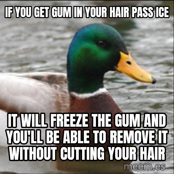 Actual Advice Mallard 1 meme: IF YOU GET GUM IN YOUR HAIR PASS ICE / it will freeze the gum and you'll be able to remove it without cutting your hair