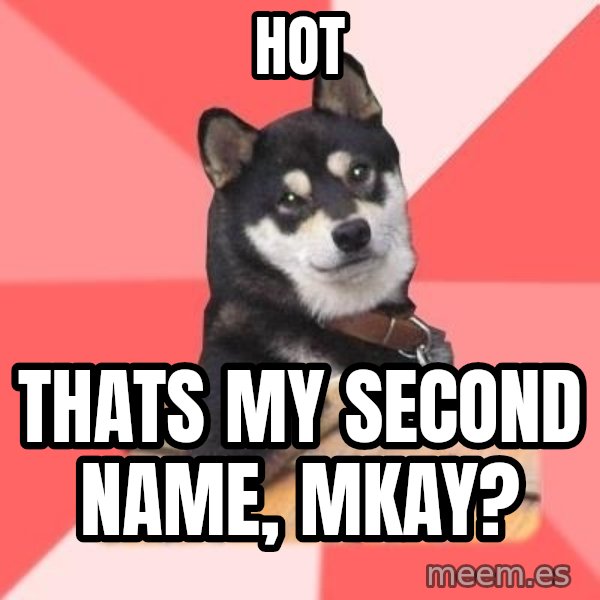 Cool Dog meme: HOT / Thats my  second name, mkay?
