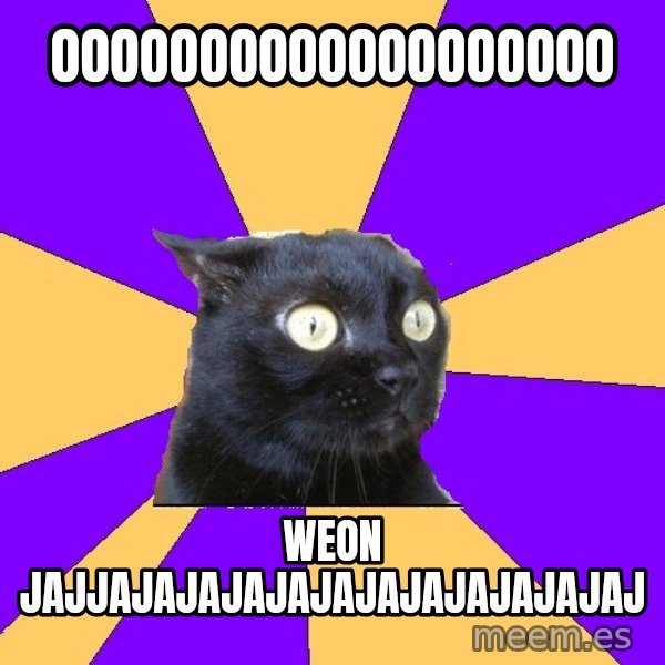 Anxiety Cat meme: ooooooooooooooooooo / weon jajjajajajajajajajajajajajaj