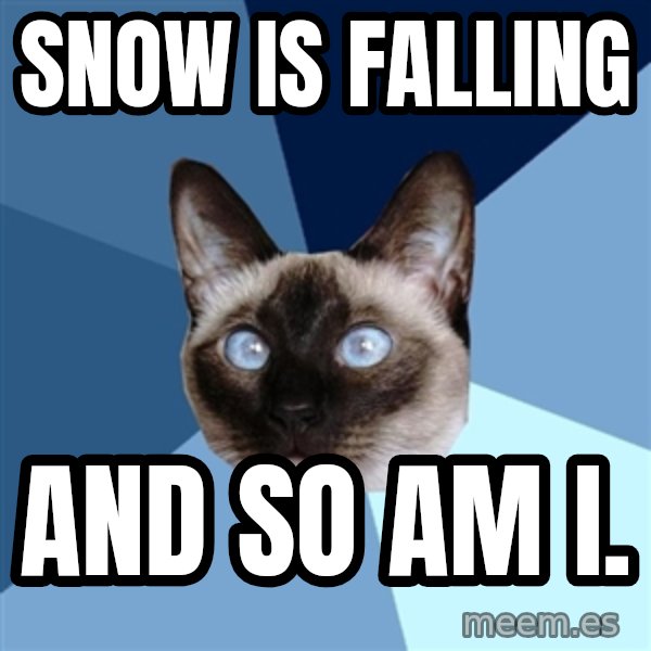 Chronic Illness Cat meme: Snow is falling / and so am I.