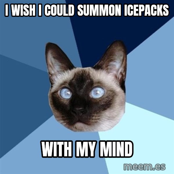 Chronic Illness Cat meme: I wish I could summon icepacks / with my mind