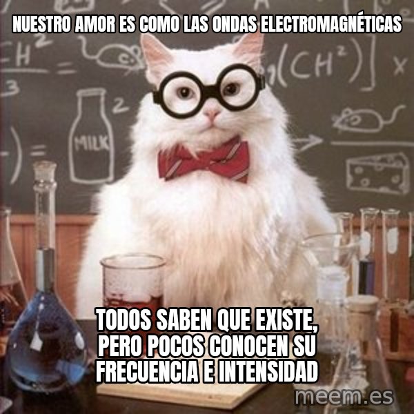 Chemistry Cat meme: nuestro amor es como las ondas electromagnéticas / todos saben que existe, pero pocos conocen su frecuencia e intensidad