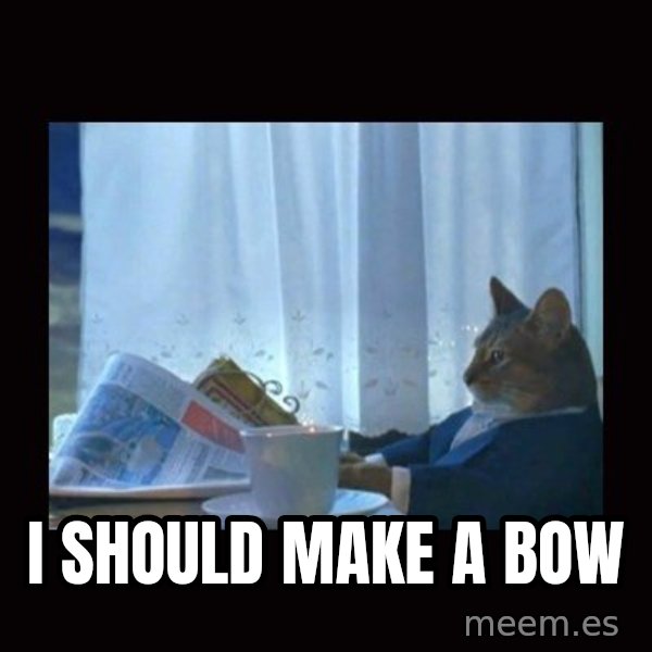 i should buy a boat cat meme: I should make a bow