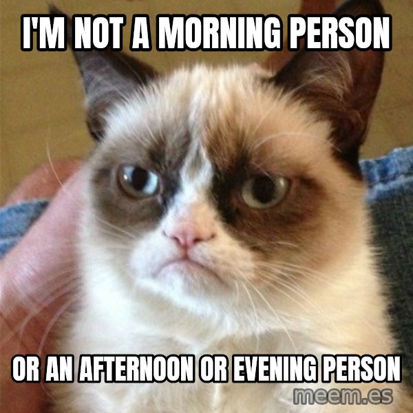 Grumpy Cat  meme: I'm not a morning person / or an afternoon or evening person