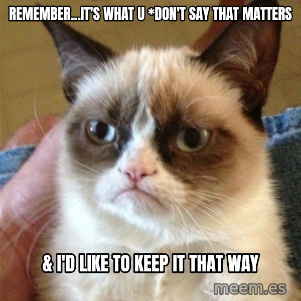 Grumpy Cat  meme: remember...it's what u *don't say that matters / & i'd like to keep it that way