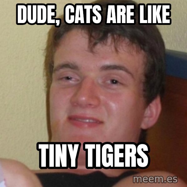 Stoner Stanley meme: Dude, cats are like / tiny tigers