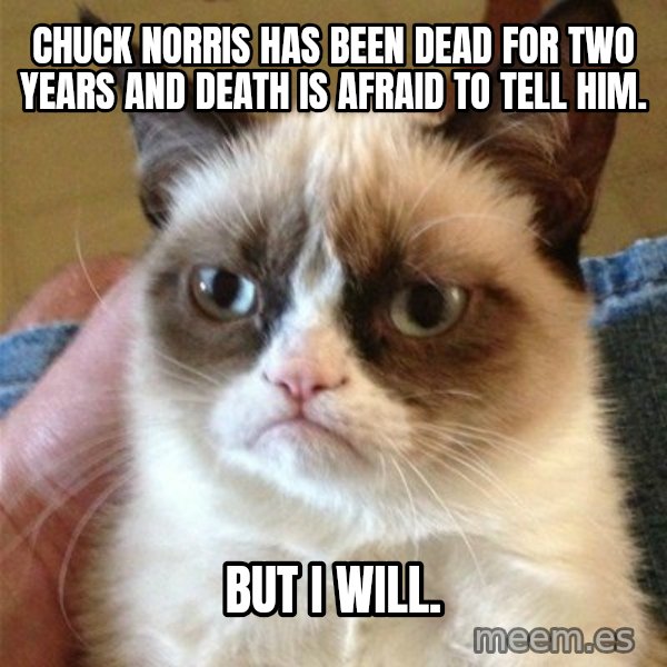 Grumpy Cat  meme: Chuck norris has been dead for two years and death is afraid to tell him. / but i will.