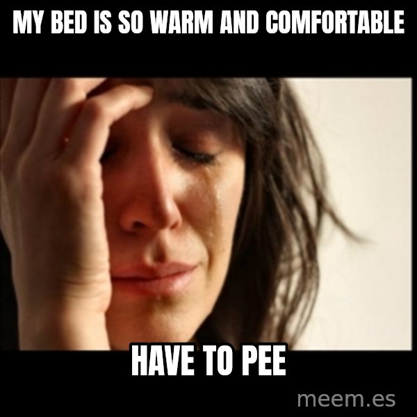 First World Problems meme: my bed is so warm and comfortable / have to pee