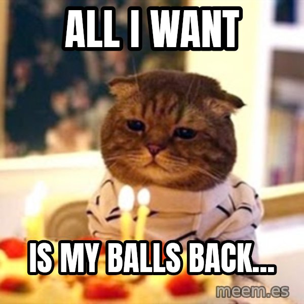 Birthday Cat meme: ALL I WANT / IS MY BALLS BACK...