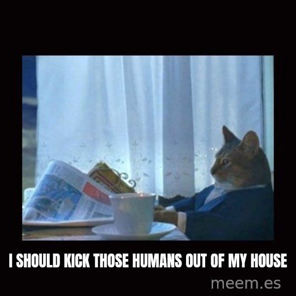 i should buy a boat cat meme: I should kick those humans out of my house