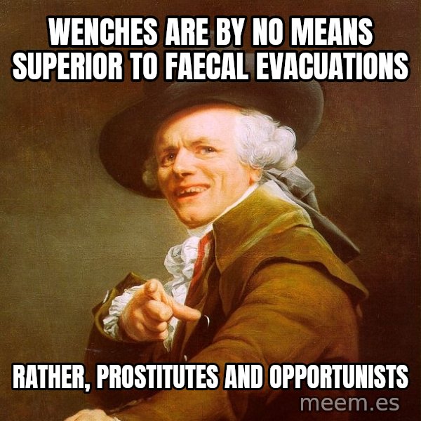 Joseph Ducreux meme: Wenches are by no means superior to faecal evacuations / Rather, prostitutes and opportunists