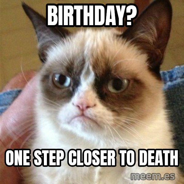Grumpy Cat  meme: Birthday? / One step closer to death