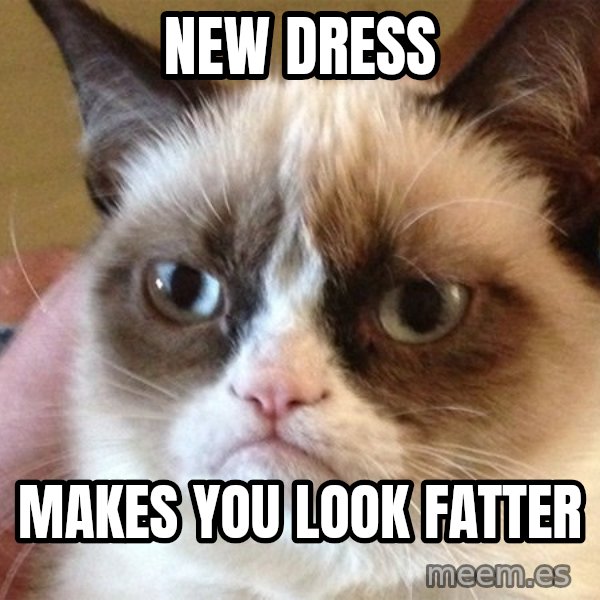 Angry Cat Meme meme: new dress / makes you look fatter