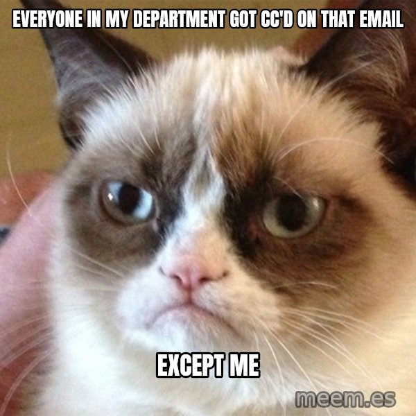 Angry Cat Meme meme: everyone in my department got cc'd on that email / except me