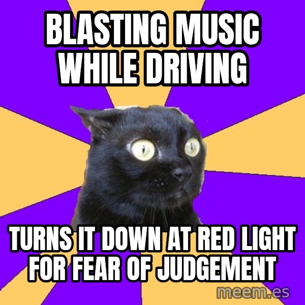 Anxiety Cat meme: blasting music while driving / turns it down at red light for fear of judgement