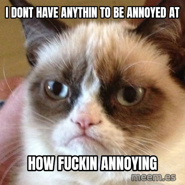 Angry Cat Meme meme: I DONT HAVE ANYTHIN TO BE ANNOYED AT / HOW FUCKIN ANNOYING