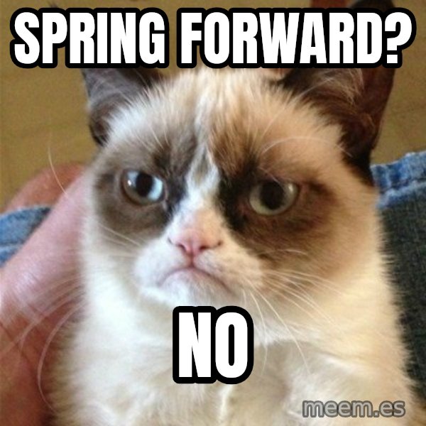 Grumpy Cat  meme: Spring forward? / NO