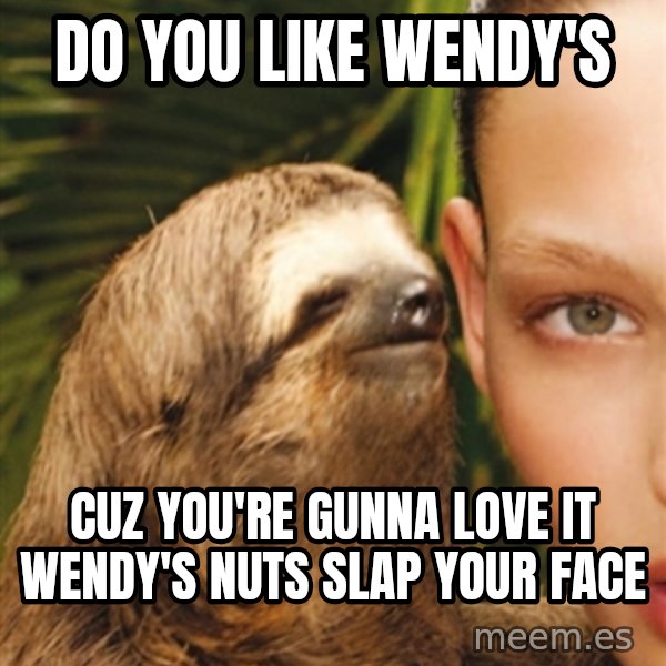 The Rape Sloth meme: Do you like wEndy's / CuZ you're gunna love it wEndy's nuts slaP your Face