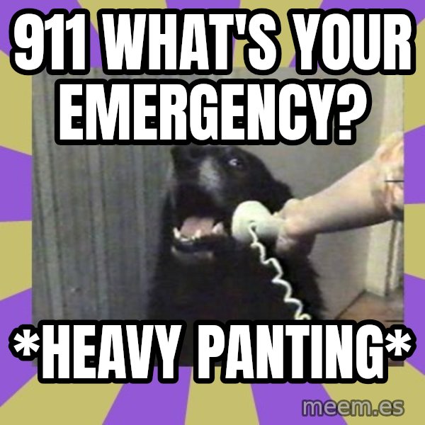 Yes, this is dog! meme: 911 WHAT'S YOUR EMERGENCY? / *HEAVY PANTING*