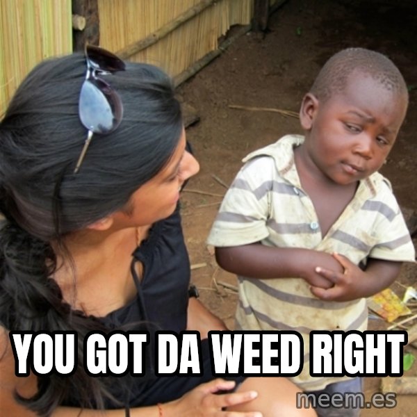 So You're Telling me meme: you got da weed right
