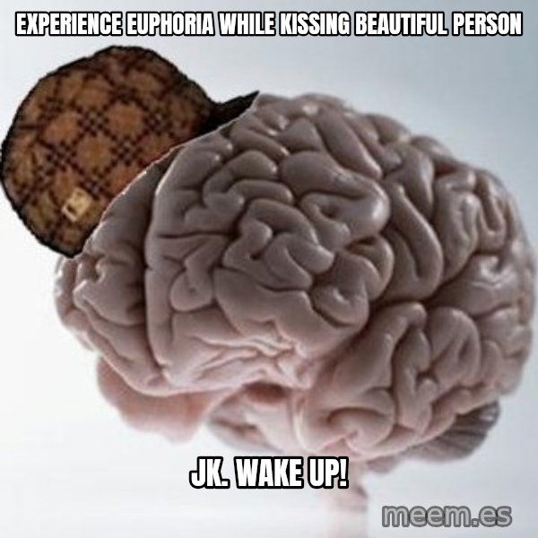Scumbag Brain meme: Experience Euphoria while kissing Beautiful Person / JK. Wake up!
