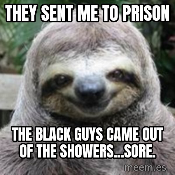 Sexual Sloth meme: They sent me to prison / The black guys came out of the showers...sore.