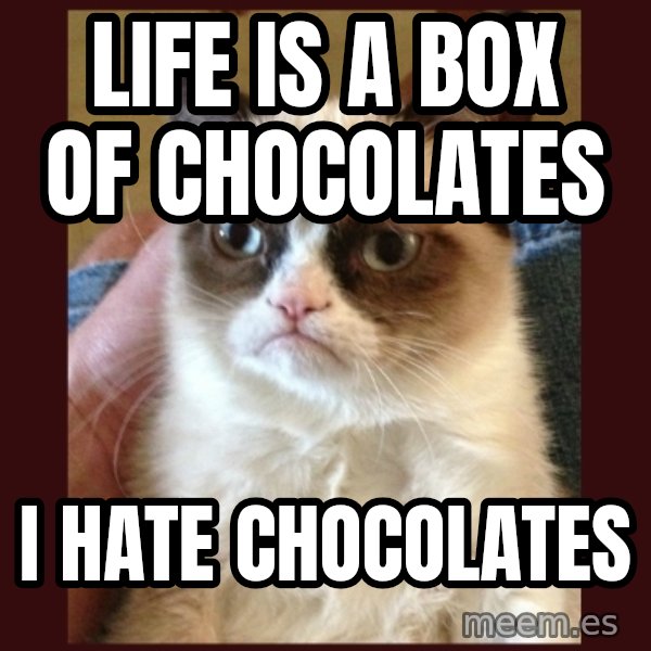 Tard the Grumpy Cat meme: life is a box of chocolates / i hate chocolates