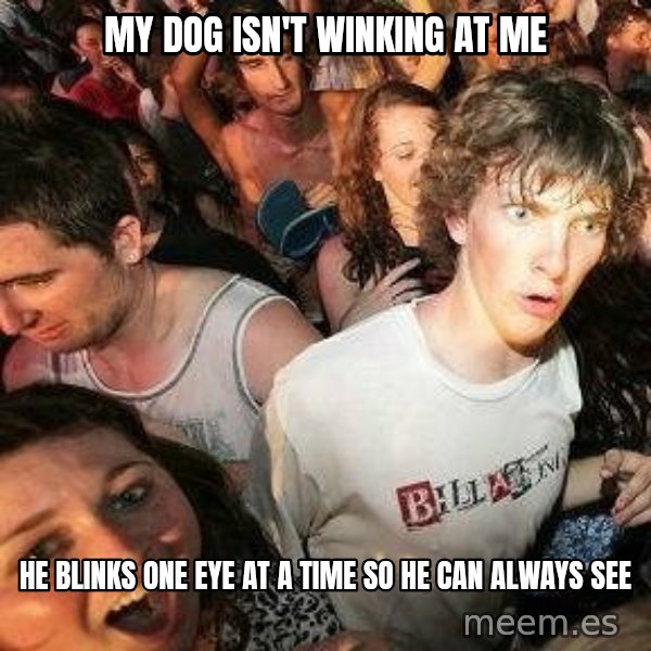-Sudden Clarity Clarence meme: My dog isn't winking at me / He blinks one eye at a time so he can always see