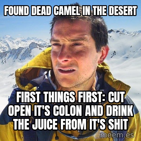 Bear Grylls Loneliness meme: found dead camel in the desert / first things first: cut open it's colon and drink the juice from it's shit
