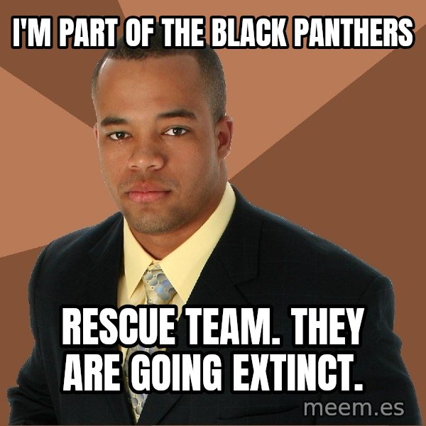 Successful Black Man meme: i'm part of the black panthers / rescue team. they are going extinct.