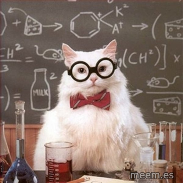 Science Cat meme: 