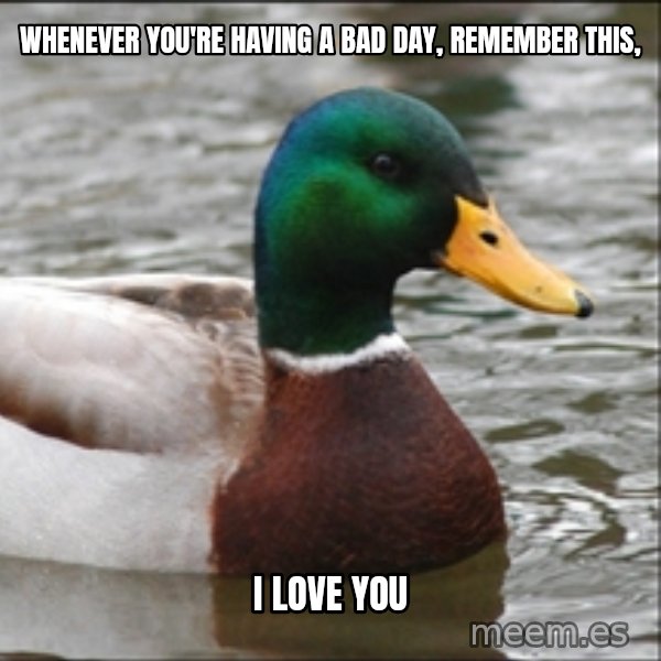 Actual Advice Mallard 1 meme: whenever you're having a bad day, remember this, / i love you