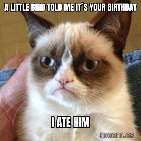 Grumpy Cat  meme: A LITTLE BIRD TOLD ME IT´S YOUR BIRTHDAY / I ATE HIM