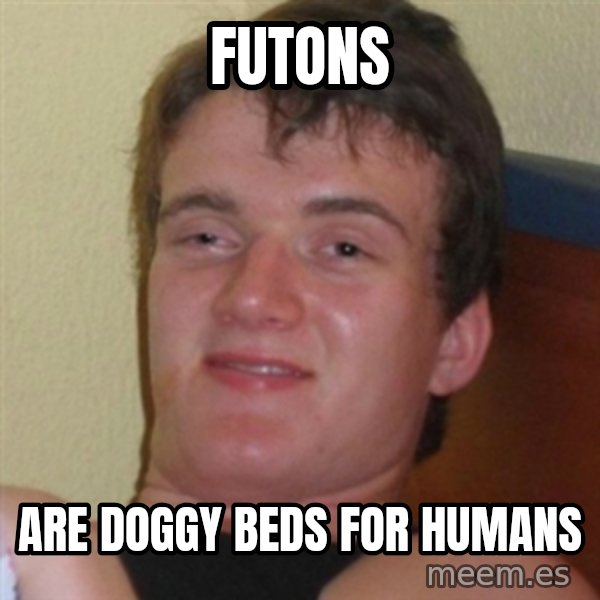 Really highguy meme: futons / are doggy beds for humans