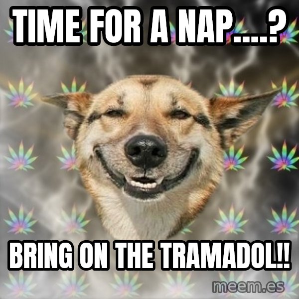 Stoner Dog meme: time for a nap....? / bring on the tramadol!!