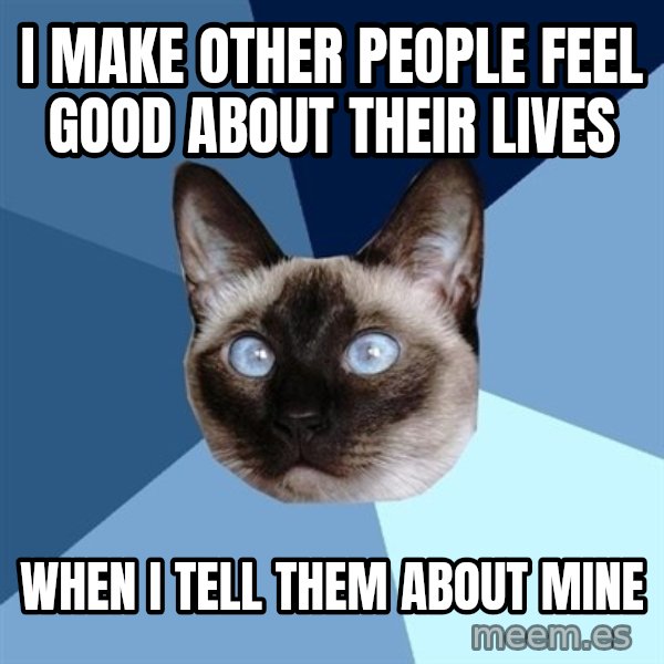Chronic Illness Cat meme: I make other people feel good about their lives / when I tell them about mine