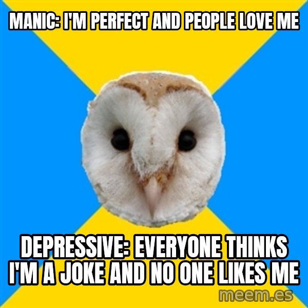 Bipolar Owl meme: Manic: I'm perfect and people love me / Depressive: Everyone thinks I'm a joke and no one likes me