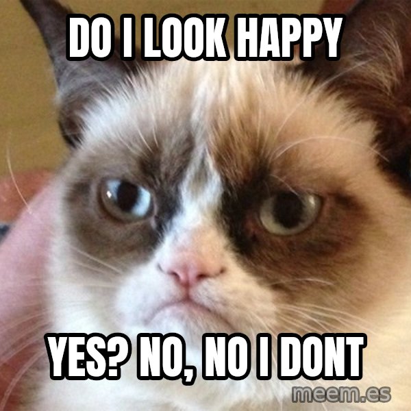 Angry Cat Meme meme: Do I look happy / Yes? No, no I dont