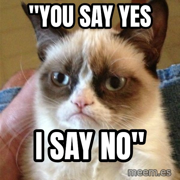 Grumpy Cat  meme: "You say yes / I say no"