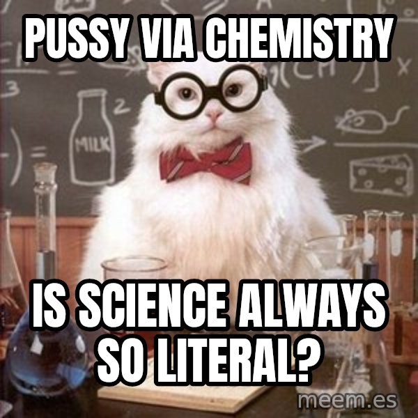 Chemistry Cat meme: pussy via chemistry / is science always so literal?