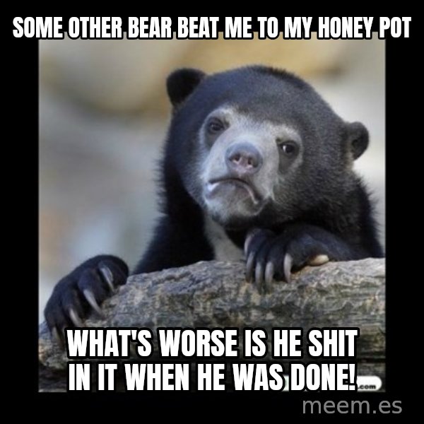 sad bear meme: some other bear beat me to my honey pot / what's worse is he shit in it when he was done!